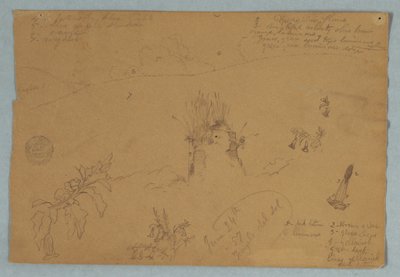 رسم، رسم.  رسومات نباتية وسحابة بالقرب من كيتو، الإكوادور، 24 يونيو 1857 بواسطة كنيسة فريدريك إدوين