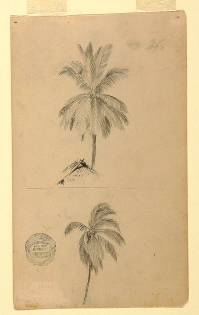 رسم، رسومات.  رسمان تخطيطيان  النخيل، 1857 بواسطة كنيسة فريدريك إدوين