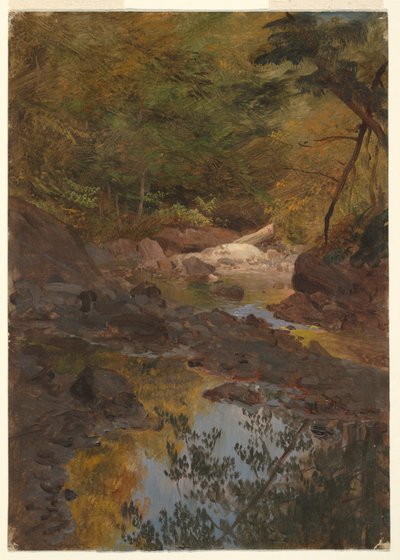 رسم، في غابات نيو إنجلاند الجديدة، 1855-1855-65 بواسطة كنيسة فريدريك إدوين