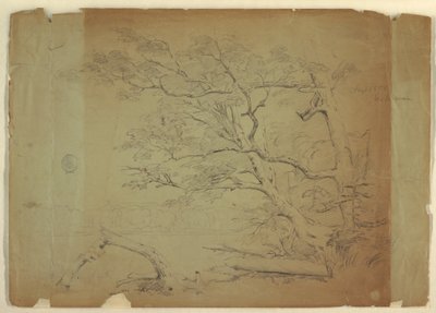 رسم، منظر طبيعي مع الأشجار والجدول [؟]، جزيرة غراند مانان، كندا، سبتمبر 1851 بواسطة كنيسة فريدريك إدوين
