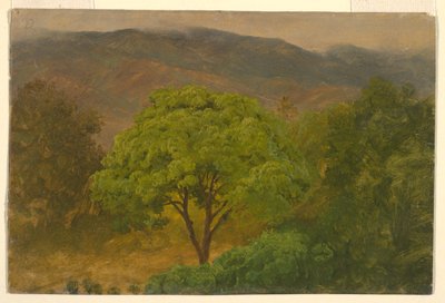 رسم، منظر طبيعي جبلي، أغسطس 1865 بواسطة كنيسة فريدريك إدوين