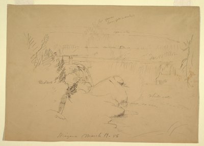 رسم، شلالات نياجرا، منظر من جزيرة الماعز، 19 مارس، 1856 بواسطة كنيسة فريدريك إدوين