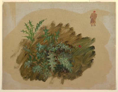 رسم، دراسات نباتية، 1865 بواسطة كنيسة فريدريك إدوين