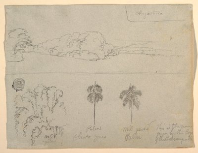 رسم، اسكتشات من كولومبيا:  ضفة نهر أو خليج، والأشجار، 1853 بواسطة كنيسة فريدريك إدوين