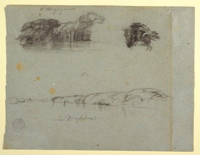 رسم تخطيطي لأشجار وكروم وضفة نهر ريو ماغدالينا، كولومبيا، 1853، على الأرجح مايو بواسطة كنيسة فريدريك إدوين