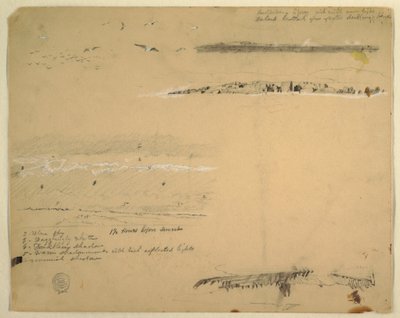 رسم، دراسات عن النوارس والساحل الصخري والسماء الملبدة بالغيوم، غريت منان، كندا، سبتمبر 1851 بواسطة كنيسة فريدريك إدوين