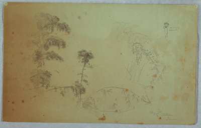 رسم، دراسات لأشجار مع تفاصيل عن الخيزران وتفاصيل صغيرة لرجل يحمل الموز على رأسه، بيلفو، جامايكا، أغسطس 1865 بواسطة كنيسة فريدريك إدوين