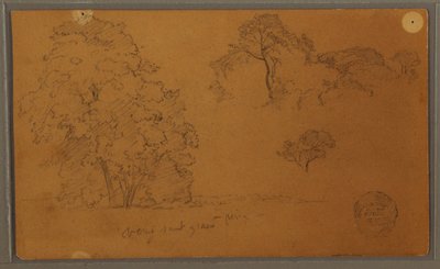 رسم، أشجار، 1857 بواسطة كنيسة فريدريك إدوين