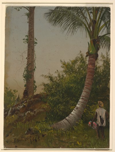 رسم، أشجار في جامايكا، جزر الهند الغربية، 1865 بواسطة كنيسة فريدريك إدوين