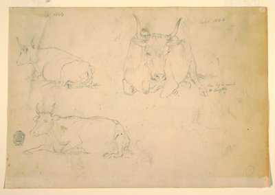 رسم، مناظر للماشية الرابضة، سبتمبر 1844 بواسطة كنيسة فريدريك إدوين