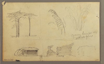 رسم، مناظر للضفة الشرقية لنهر غواياس، مقابل غواياكيل، الإكوادور، مايو 1857 بواسطة كنيسة فريدريك إدوين