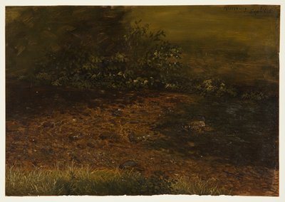 رسم، جدول وودلاند في كاتسكيلز، سبتمبر 1848 بواسطة كنيسة فريدريك إدوين