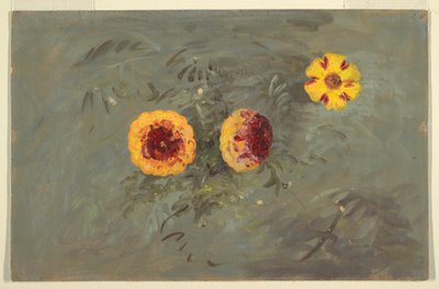 رسم، الزينية، 1860-70 بواسطة كنيسة فريدريك إدوين