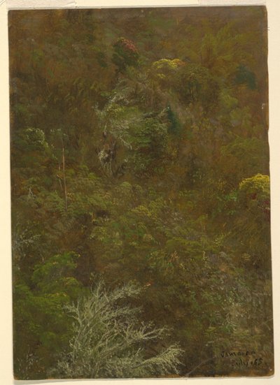 Hillside with Trees ، جامايكا بواسطة كنيسة فريدريك إدوين