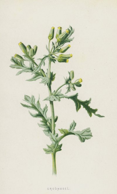القصاص (chromolitho) بواسطة فريدريك إدوارد هولم