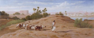 قطيع عنزة بالقرب من القاهرة بواسطة Frederick Goodall