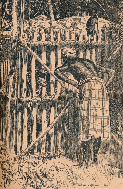 رسم توضيحي لأساطير الخرافات والحكايات الشعبية من غابة شرقية ، 1901 بواسطة فريدريك هنري تاونسند