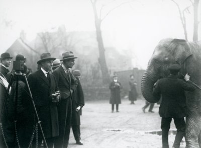 فيل هندي ، ربما سوندرمالا ، يشارك في بث خارجي من حديقة حيوان لندن ، 1925 بواسطة فريدريك وليام بوند