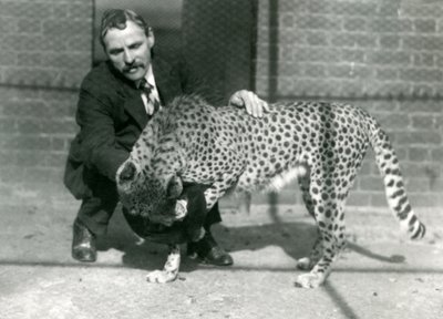 حارس تشارلز ديكسون مع الفهد لعوب في حديقة حيوان لندن ، أكتوبر 1922 بواسطة فريدريك وليام بوند