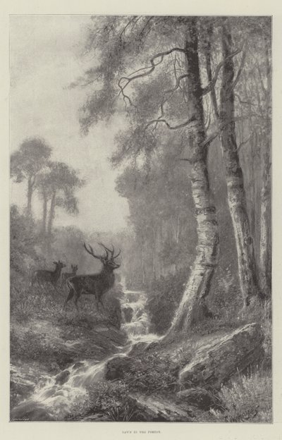 فجر في الغابة بواسطة Frederick William Hayes
