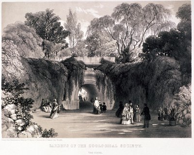 حدائق الحيوان ، ريجنت بارك ، مارليبون ، لندن ، c1840 بواسطة فريدريك ويليام هولمي