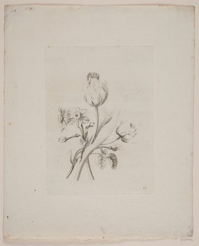 عزر الأزهار بواسطة Frederik Schepelern