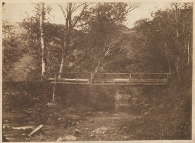 منظر طبيعي مع أشجار وجسر، ج. 1850 (صورة فوتوغرافية) بواسطة مصور فرنسي