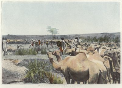 سقي الإبل من المنبع بالصحراء بواسطة مصور فرنسي