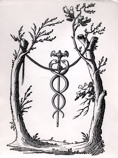 في Caduceus بواسطة المدرسة الفرنسية