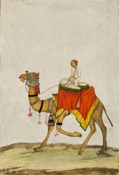جمل وراكبه يعزف على الطبول ، ج. 1840 (الغواش) بواسطة المدرسة الفرنسية
