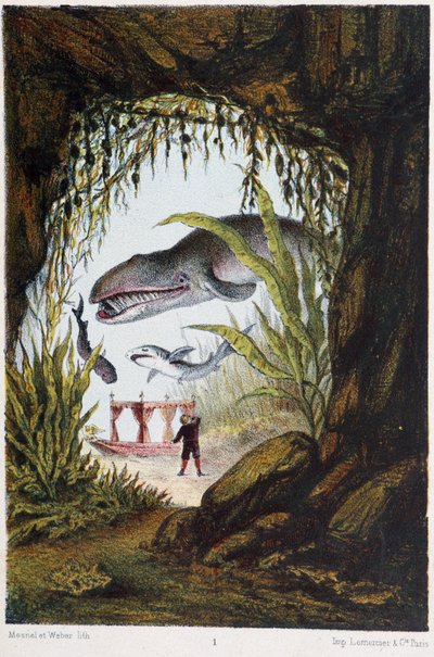 A boy under the sea with a whale and a shark - in “” Journey to the bottom of the sea”” by H. de la Blanchère. Paris, ed. Jouvet et Cie, sd. 1880. بواسطة المدرسة الفرنسية