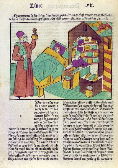 مريض مع طبيب وصيدلي من Le Livre des Proprietes des Choses بواسطة Barthelemy lAnglais ، 1485 (قطع خشبية ملونة) بواسطة المدرسة الفرنسية