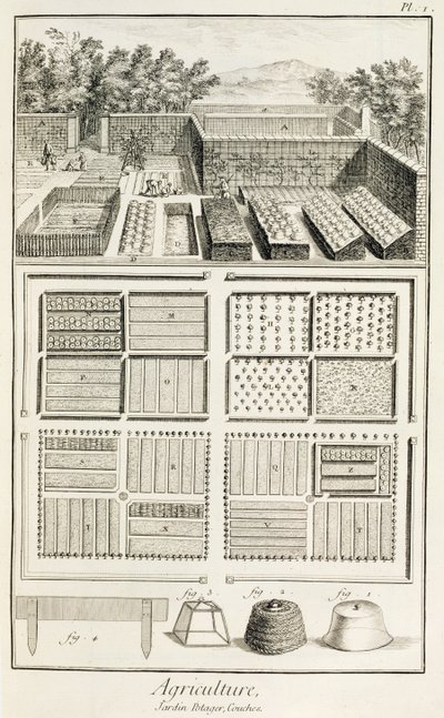 حديقة نباتية ، من موسوعة العلوم والفنون والهندسة بقلم دينيس ديدرو (1713-1784) ، ج .1770 بواسطة المدرسة الفرنسية