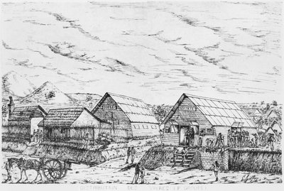 ألبوم جزيرة الصنوبر ، توزيع الإمدادات ، 1878-79 بواسطة المدرسة الفرنسية