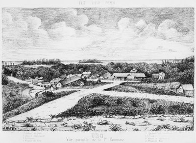 ألبوم Isle of Pines، Uro، 1878-79 بواسطة المدرسة الفرنسية