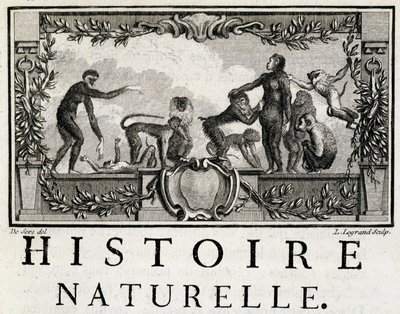 Allegorie d