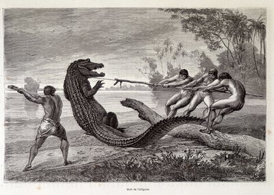 التمساح هانت ، البرازيل ، "" حول العالم "" الأسبوع الثاني 1874. بواسطة المدرسة الفرنسية