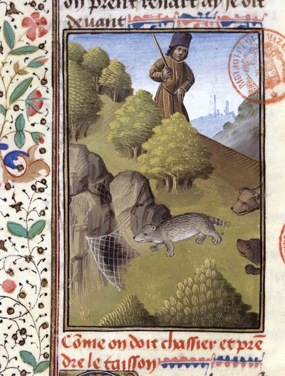 Badger hunt - في "" Hunting Book of Gaston Phoebus ، Count of Foix ، Lord of Béarn "" بواسطة المدرسة الفرنسية