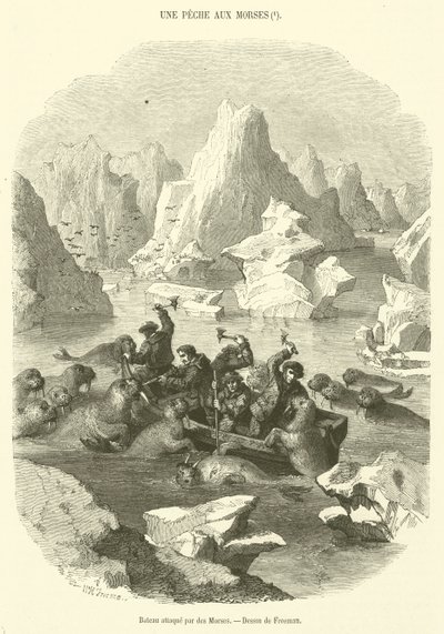 Bateau attaque par des Morses (engraving) بواسطة المدرسة الفرنسية