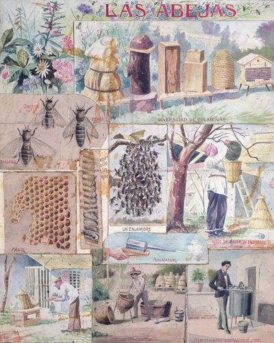 ثقافة النحل ، توضيح صنع في فرنسا مخصص للنشر في المكسيك ، ج. 1900 بواسطة المدرسة الفرنسية