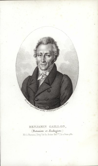 بنيامين Gaillon بواسطة المدرسة الفرنسية
