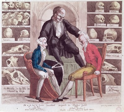 كاريكاتير وليام بيت الأصغر (1759-1806) وغوستاف الرابع أدولف (1778-1837) يزور الأب فرانز جوزيف غال (1758-1828) 1806 بواسطة المدرسة الفرنسية