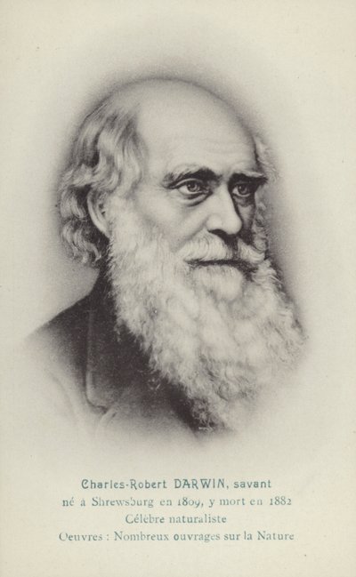 تشارلز داروين (1809-1882)، عالم طبيعة إنجليزي (ليثو) بواسطة المدرسة الفرنسية