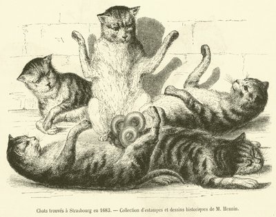 تم العثور على قطط في ستراسبورغ عام 1683 (نقش) بواسطة المدرسة الفرنسية