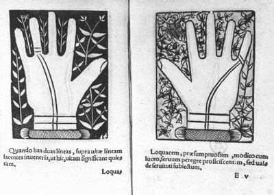 أيدي Chiromantic ، التوضيح من Chiromatiae Principiis ... Anastasis by Bartolommeo della Rocca (Cocles) 1467-1504) 1555 بواسطة المدرسة الفرنسية