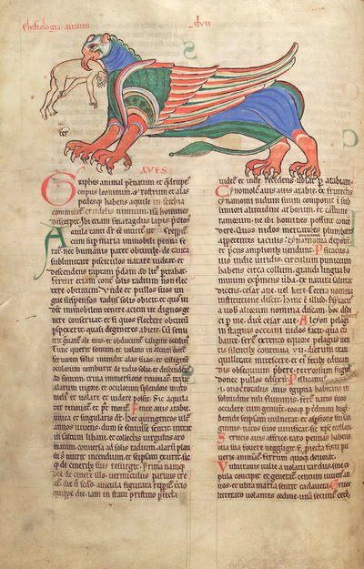 سمك القد. الجرف. 1 فالداخل. خط العرض. 39v ، غريفين يلتهم رجلاً ، من Liber Floridus بقلم لامبرت دي سان أومير c.1120 بواسطة المدرسة الفرنسية