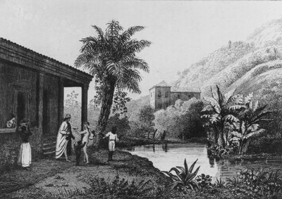مزرعة القهوة ، من "Bresil، Columbie et Guyanes" بقلم فرديناند دينيس وسيزار فامين 1837 (نقش) (صورة بالأبيض والأسود) بواسطة المدرسة الفرنسية
