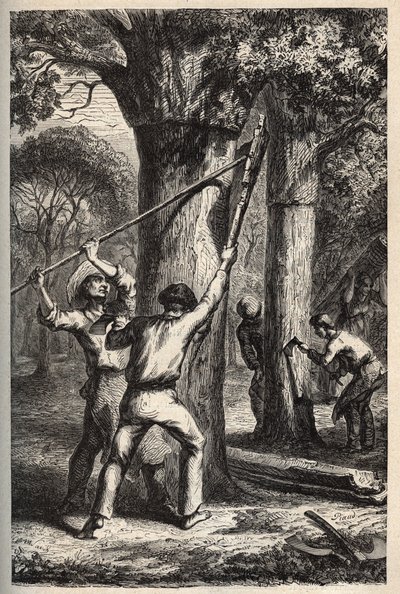 حصاد الفلين على Quercus suber - Recolte de l'barce du oene liege (chene-liege) في Landes - نقش في "" PATILE - وصف دقيق لفرنسا في 6 مجلدات بواسطة LUCIEN HUARD - نهاية القرن التاسع عشر بواسطة المدرسة الفرنسية