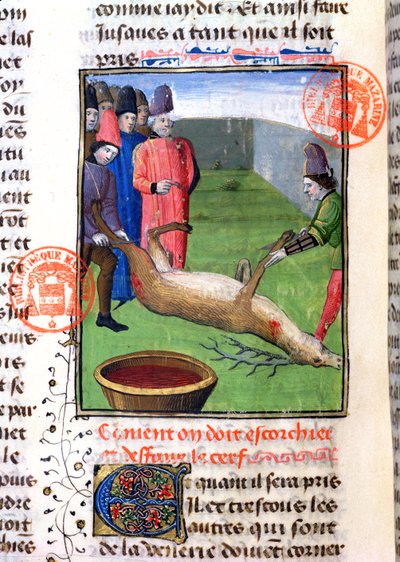 قطع أرجل الأيل الميت ، من Livre de la Chasse بواسطة Gaston Phebus de Foix (1331-91) بواسطة المدرسة الفرنسية