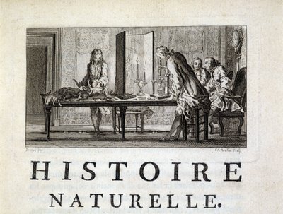 Dissection des animaux - in “” Histoire naturelle, générale et particular”” by Buffon بواسطة المدرسة الفرنسية